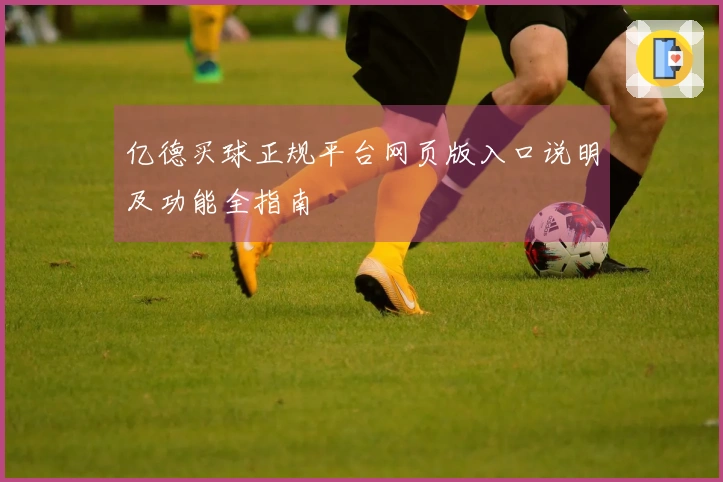 亿德买球正规平台网页版入口说明及功能全指南