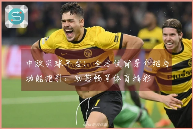 中欧买球平台：全方位背景介绍与功能指引，助您畅享体育精彩