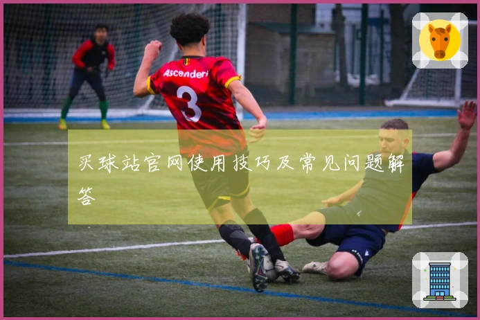 买球站官网使用技巧及常见问题解答