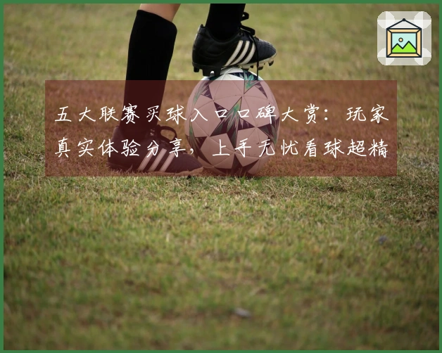 五大联赛买球入口口碑大赏：玩家真实体验分享，上手无忧看球超精彩