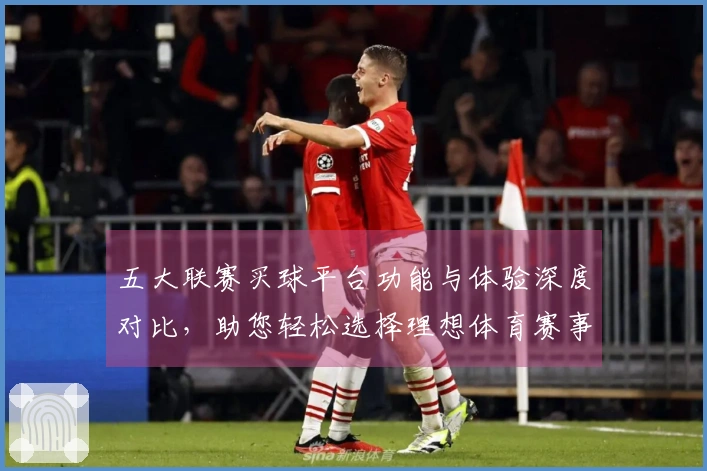 五大联赛买球平台功能与体验深度对比，助您轻松选择理想体育赛事入口