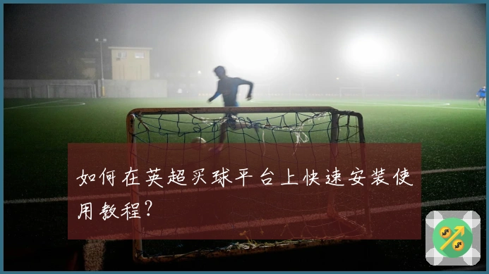 如何在英超买球平台上快速安装使用教程？