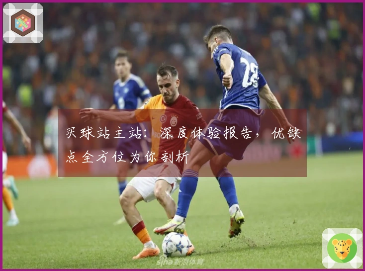 买球站主站：深度体验报告，优缺点全方位为你剖析