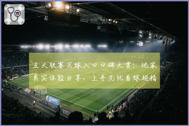 五大联赛买球入口口碑大赏：玩家真实体验分享，上手无忧看球超精彩