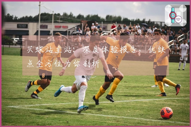 买球站主站：深度体验报告，优缺点全方位为你剖析