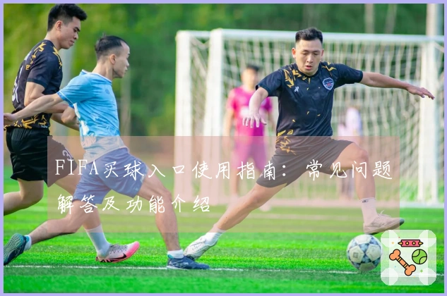 FIFA买球入口使用指南：常见问题解答及功能介绍
