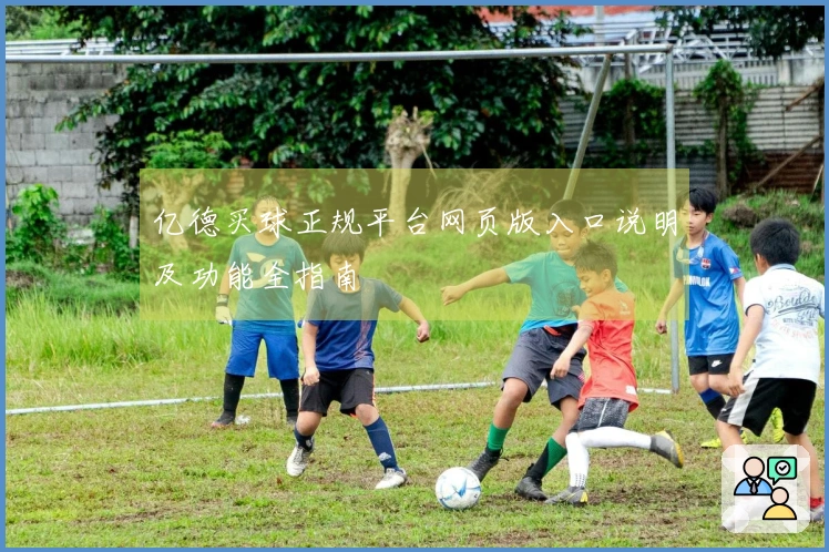 亿德买球正规平台网页版入口说明及功能全指南